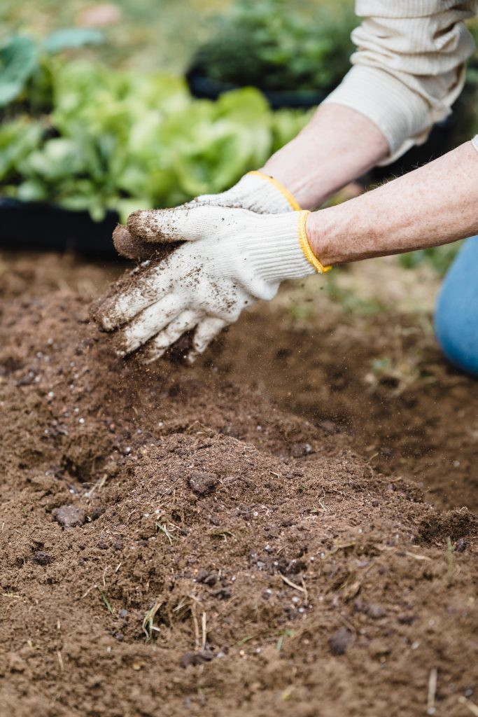 Essential Soil Preparation Tips for Successful Planting - Riveal